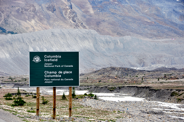 sign: Columbia Icefield